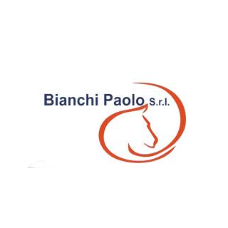 Bianchi Paolo / Ruggero Lanfranchi